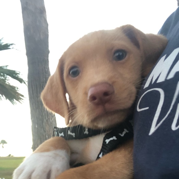 Meet your Posher, Xenia - Picture 1 of 1